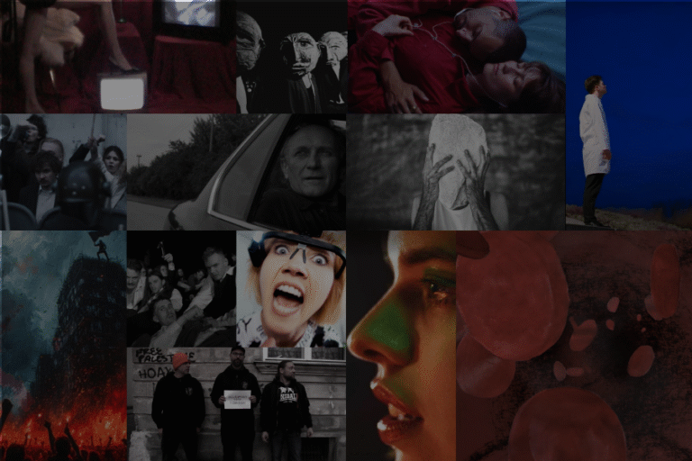 14. POKAZ NIEZALEŻNYCH TELEDYSKÓW: PROGRAM SEKCJI